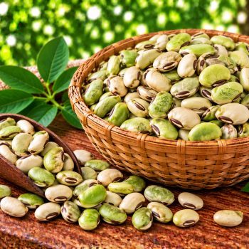 போர் மொச்சை ( Field Beans) – 500 g – fresh grocery delivery in Dindigul by Ernomart