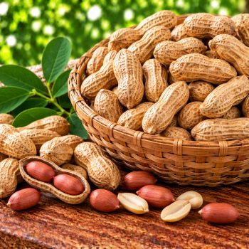 நிலக்கடலைப் பருப்பு – (Peanut / Groundnut) – 200 g – fresh grocery delivery in Dindigul by Ernomart