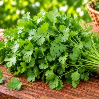 கொத்துமல்லி (Coriander leaves) – 1 pack – fresh grocery delivery in Dindigul by Ernomart