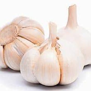 வெள்ளை பூண்டு (Big) – 500 g – fresh grocery delivery in Dindigul by Ernomart