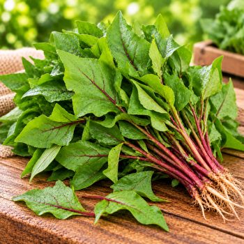 புளிச்சக் கீரை (Sorrel Leaves) – 1 piece – fresh grocery delivery in Dindigul by Ernomart