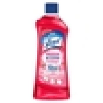 Lizol Floral Fresh & Clean Bathroom Cleaner: 700 ml – 1 piece – fresh grocery delivery in Dindigul by Ernomart