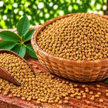 வெந்தயம் (Fenugreek Seeds) – 200 g – fresh grocery delivery in Dindigul by Ernomart