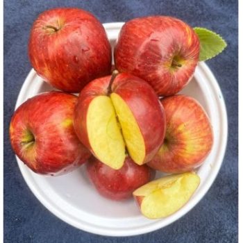 ஆப்பிள் -  medium (Shimla Apple) – 1 kg – fresh grocery delivery in Dindigul by Ernomart