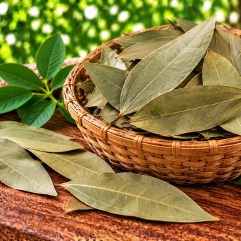 பிரியாணி இலை (Bay Leaf) – 100 g – fresh grocery delivery in Dindigul by Ernomart