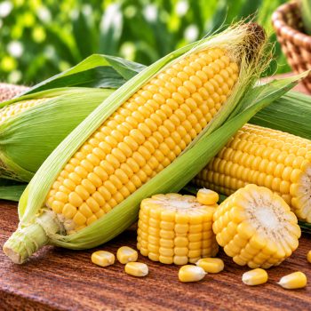 மக்காச்சோளம் (Corn) – 2 piece – fresh grocery delivery in Dindigul by Ernomart