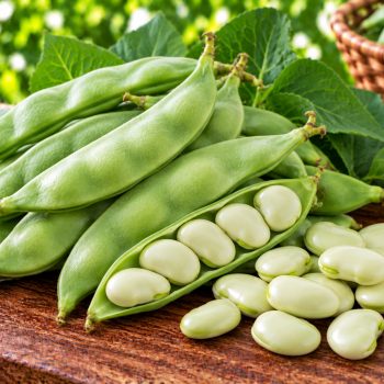 பட்டர் பீன்ஸ் (Butter Beans) – 500 g – fresh grocery delivery in Dindigul by Ernomart