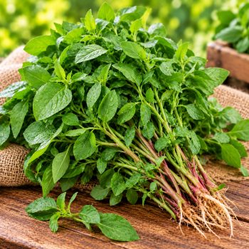 சிறுகீரை (Tropical Amaranth Green) – 1 piece – fresh grocery delivery in Dindigul by Ernomart