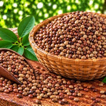 கொள்ளு (Horse Gram) – 250 g – fresh grocery delivery in Dindigul by Ernomart
